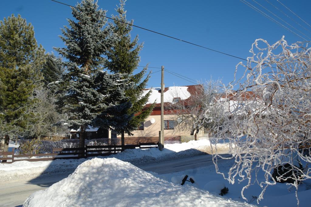 Bed and Breakfast Penzion Jaraba Жьяр Экстерьер фото